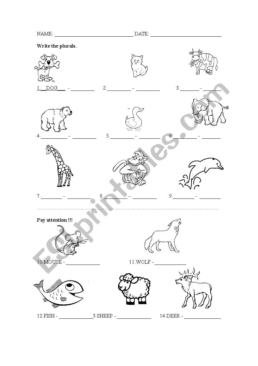 animals plurals worksheet