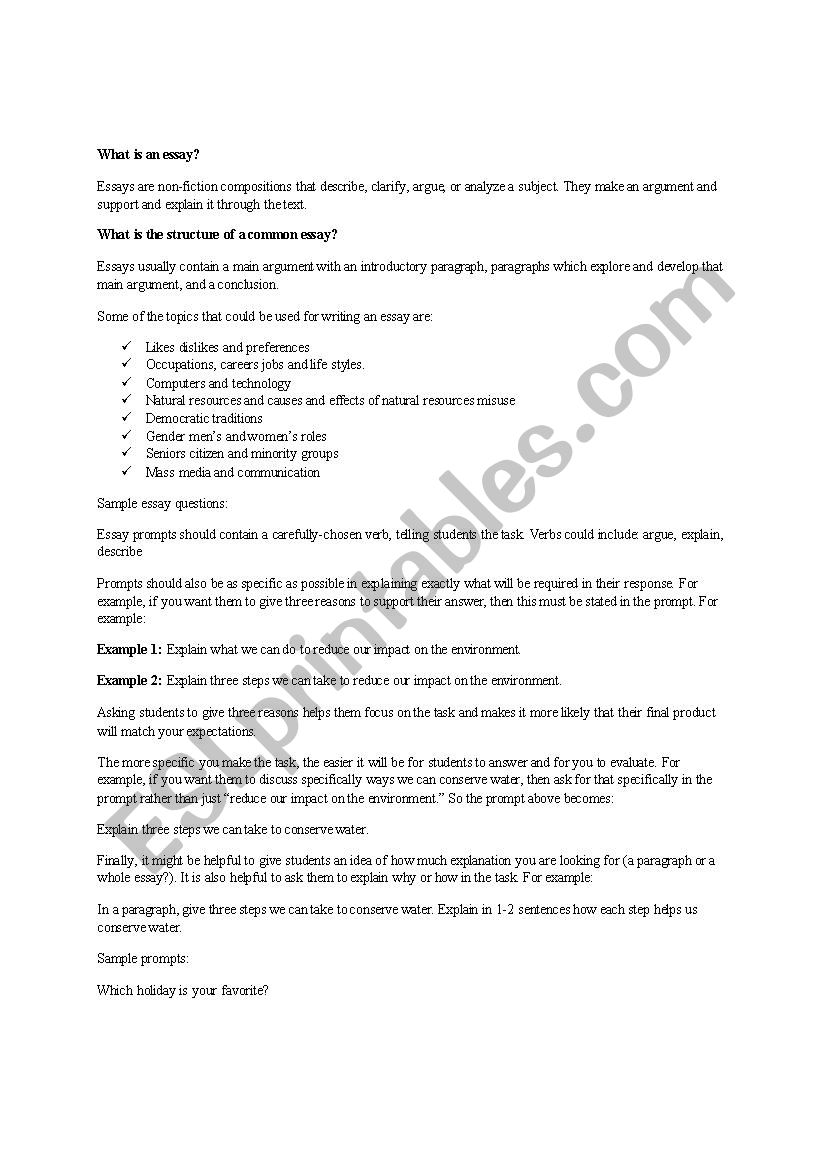 Argumentative essay rubric worksheet