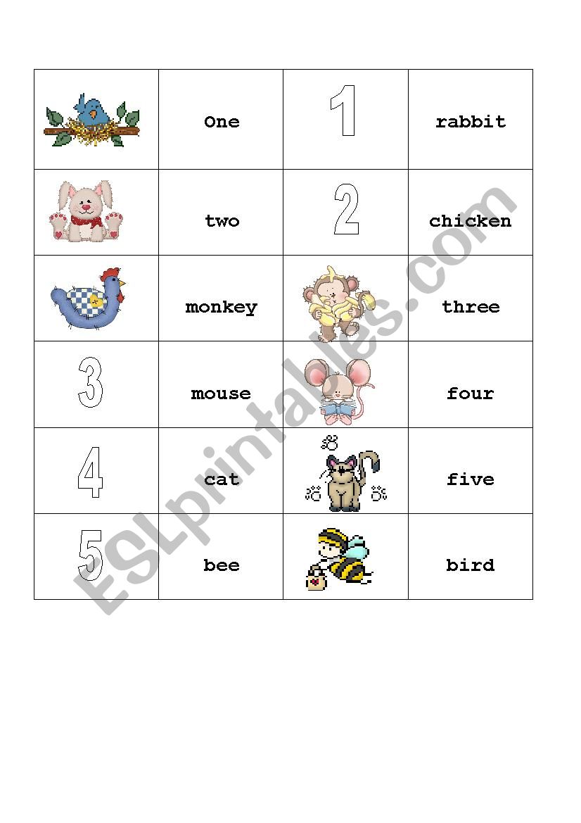 Animals worksheet