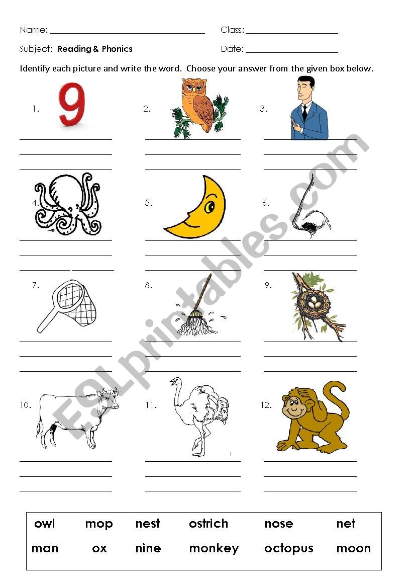 PHONICS M-O worksheet