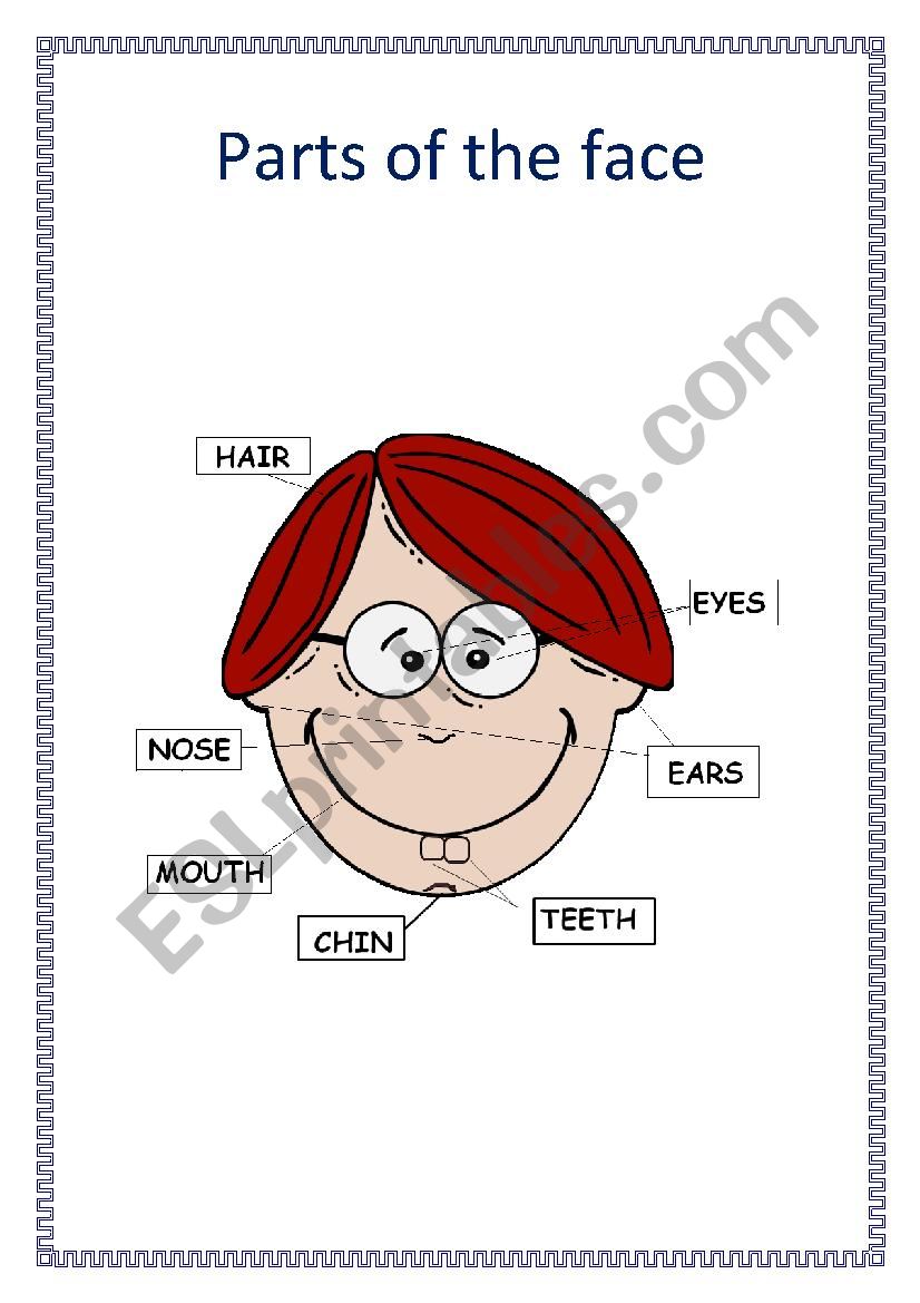 Parts of the face worksheet