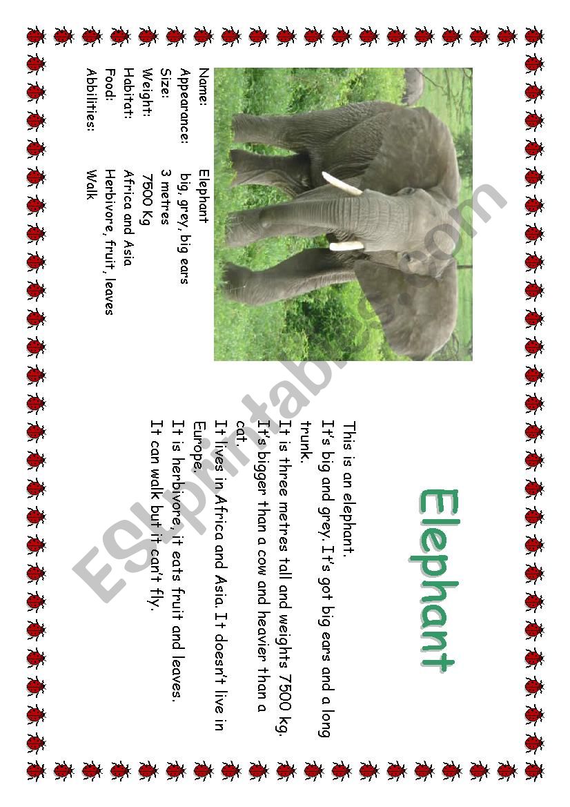 Animal description worksheet