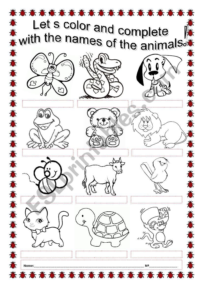 Coloring Animals worksheet