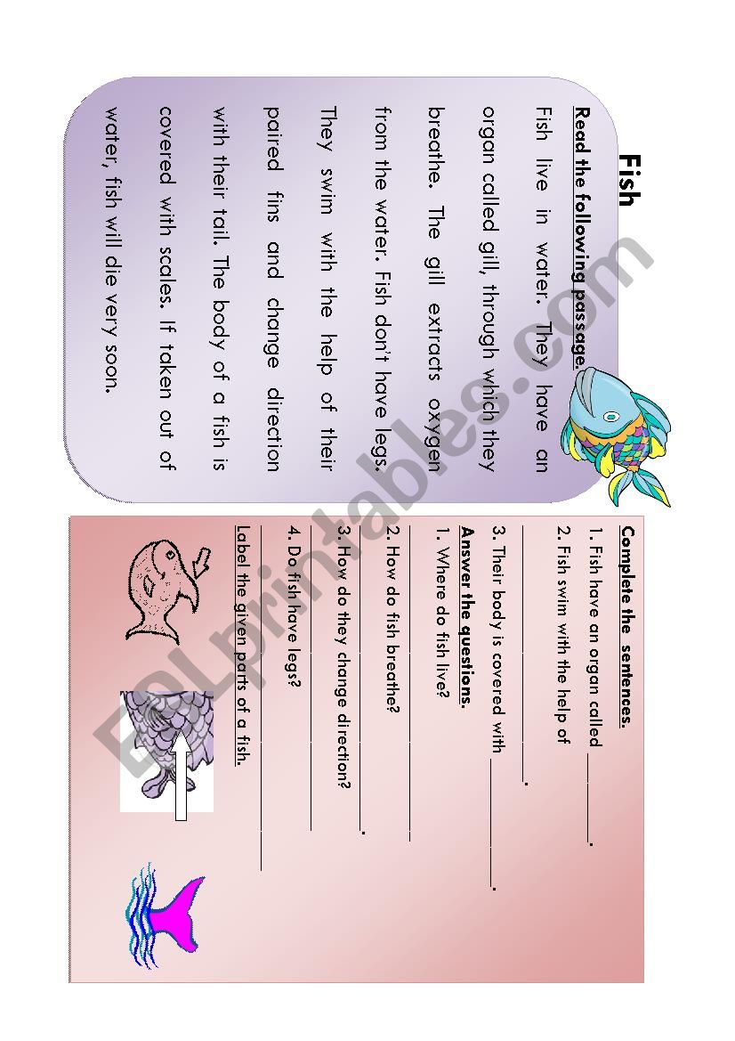 Reading Comprehension worksheet