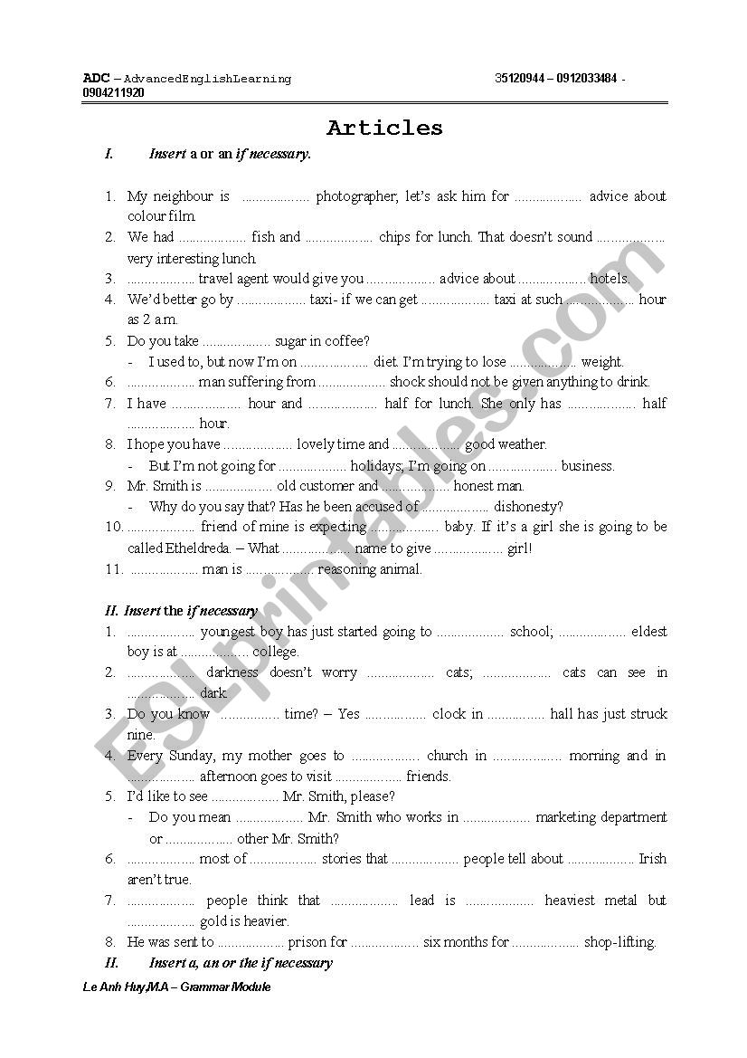 Article Exercises worksheet