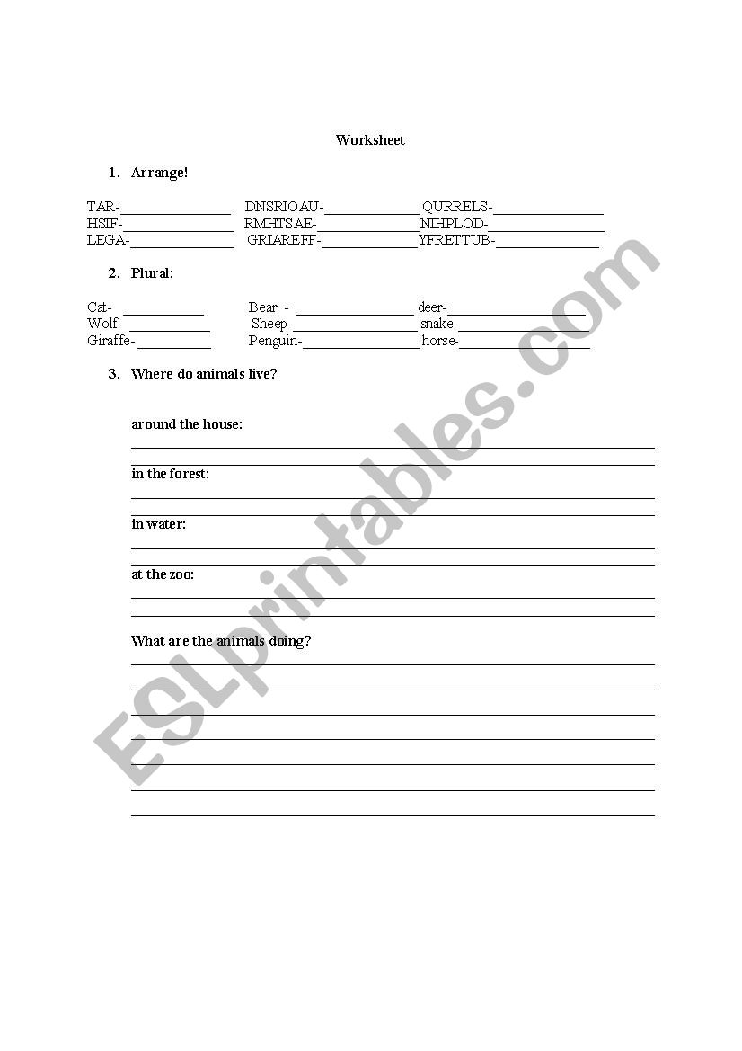 Exercises worksheet