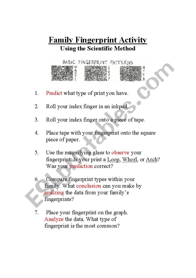 Family Fingerprint Activity Using the Scientific Method - ESL Within Scientific Method Worksheet High School
