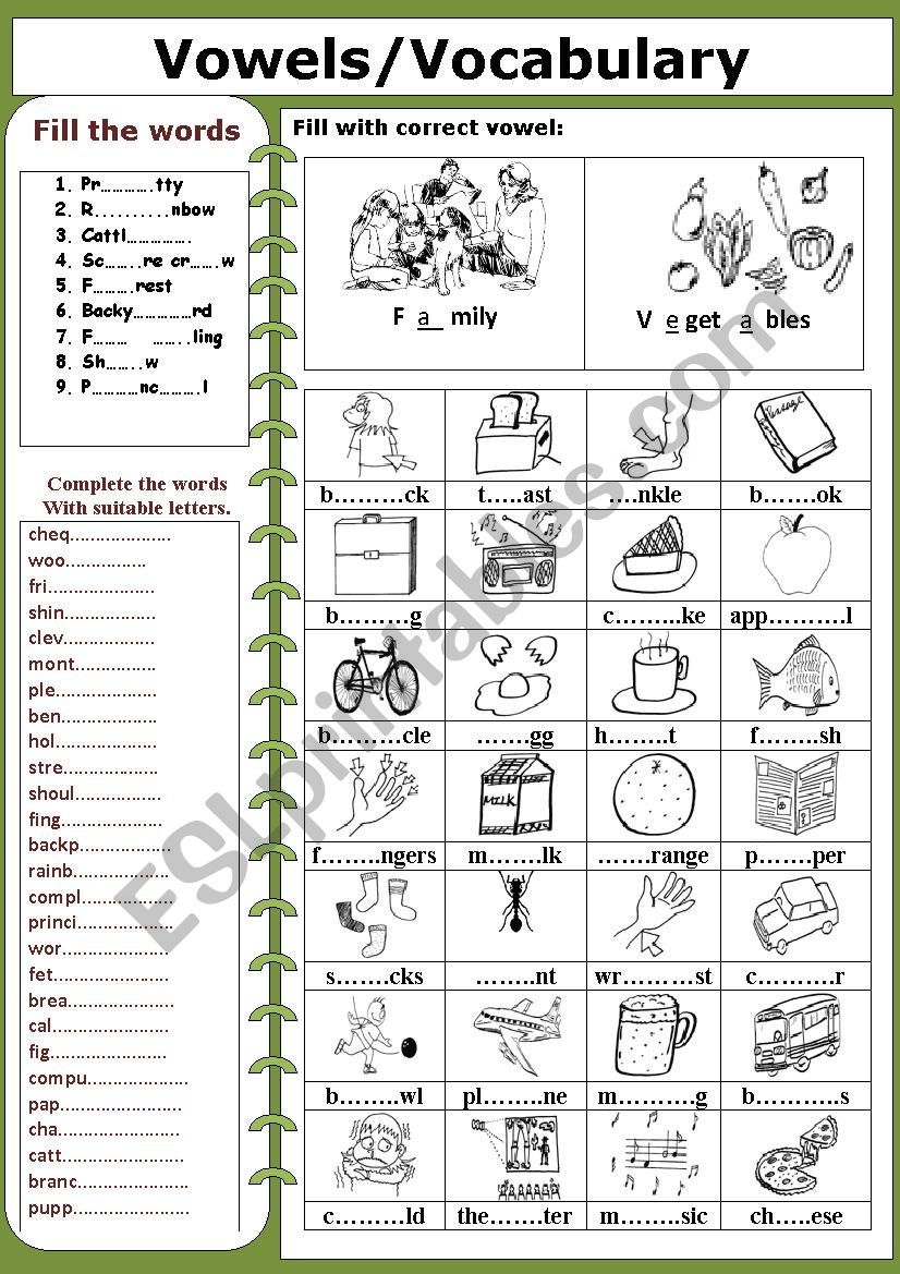 Vowels /Vocabulary worksheet