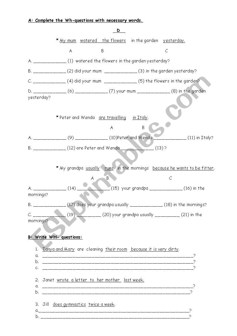 WH- QUESTIONS worksheet