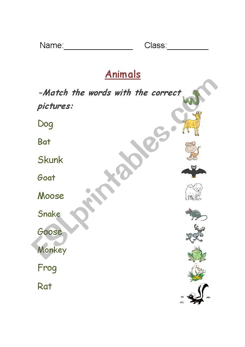 Animals word/picture matching worksheet