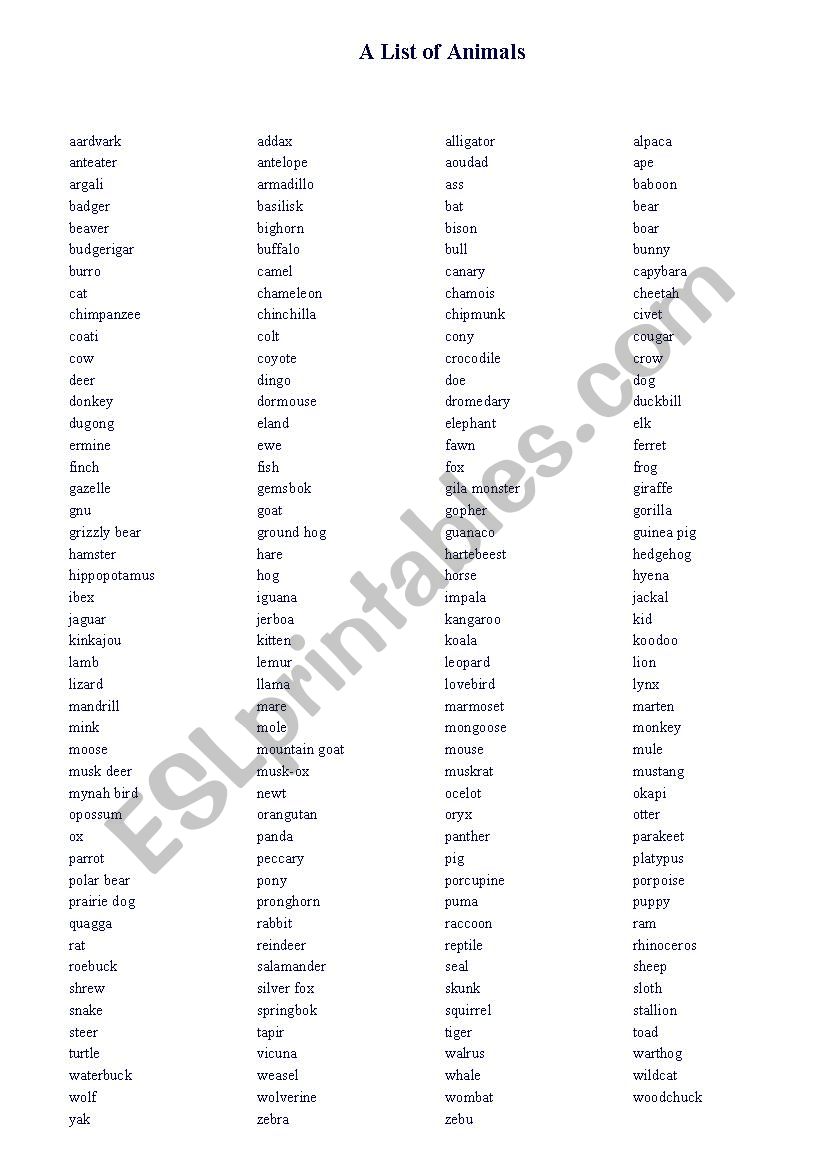 Animals list worksheet