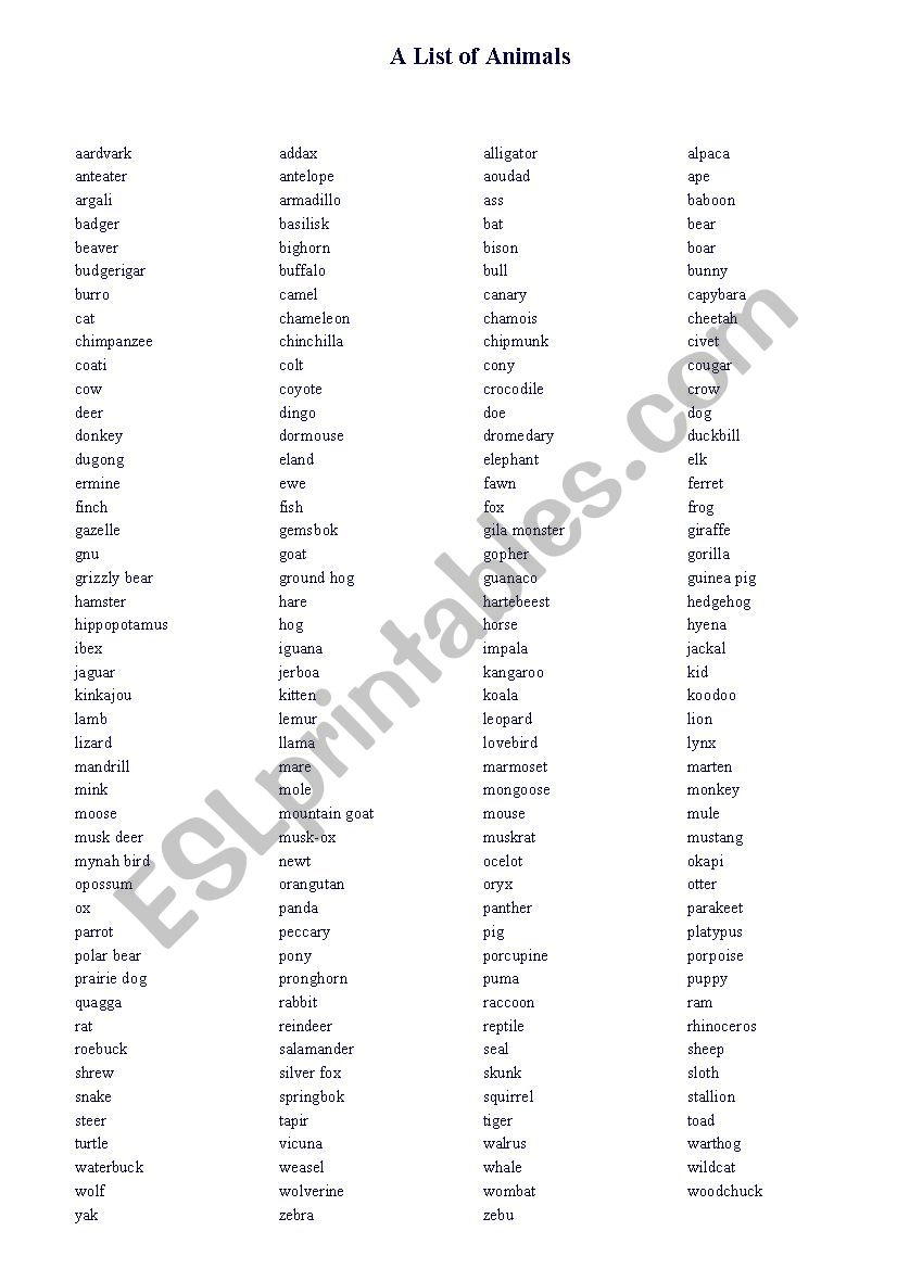 Animals list worksheet