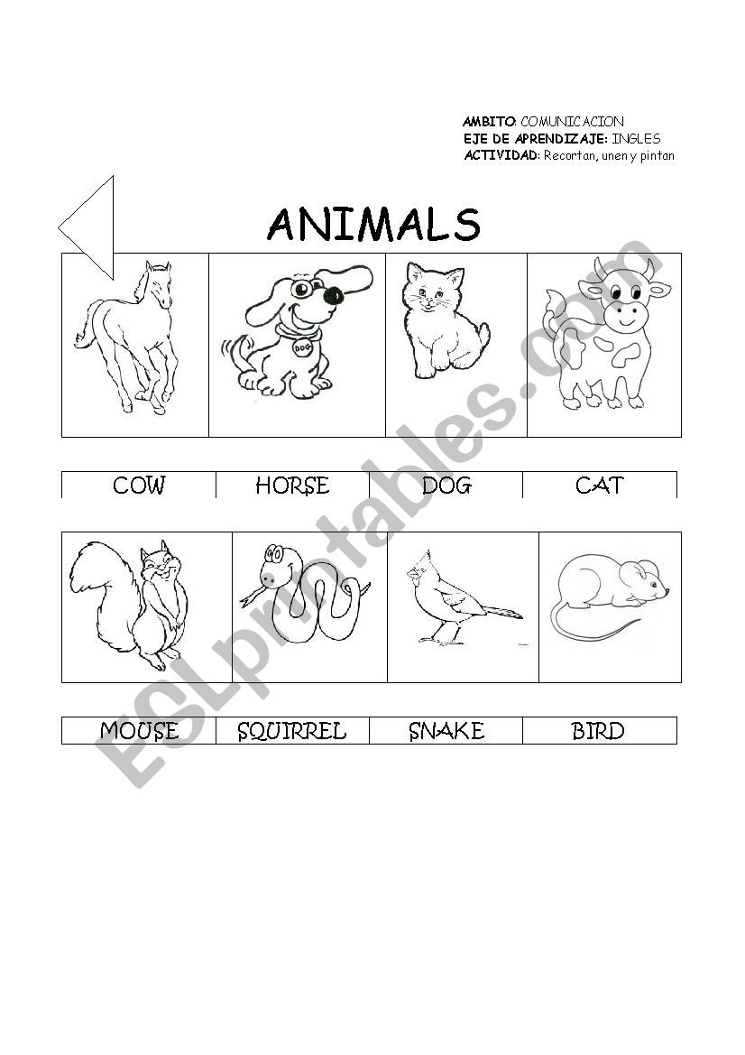 animals worksheet