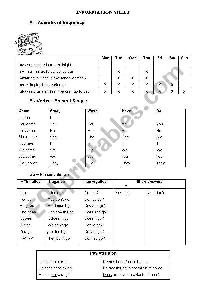 Frequency adverbs/Present simple 