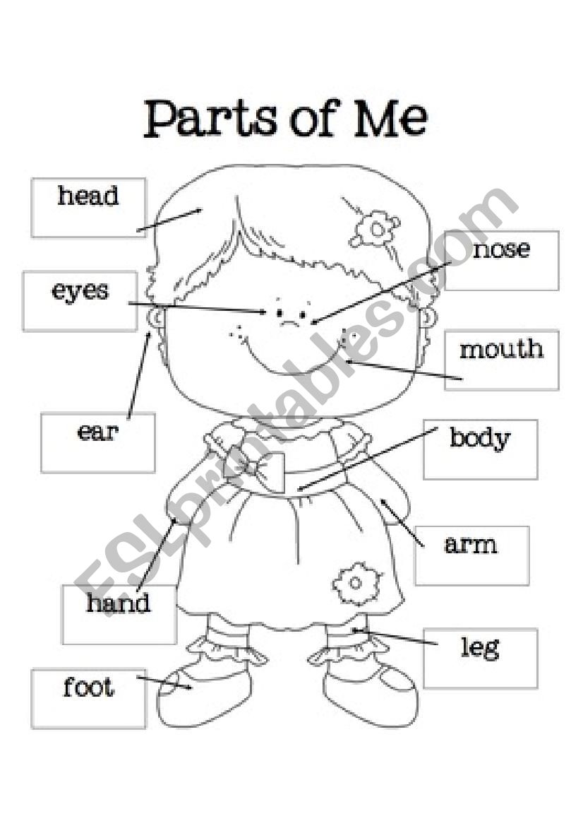 All about my body! worksheet