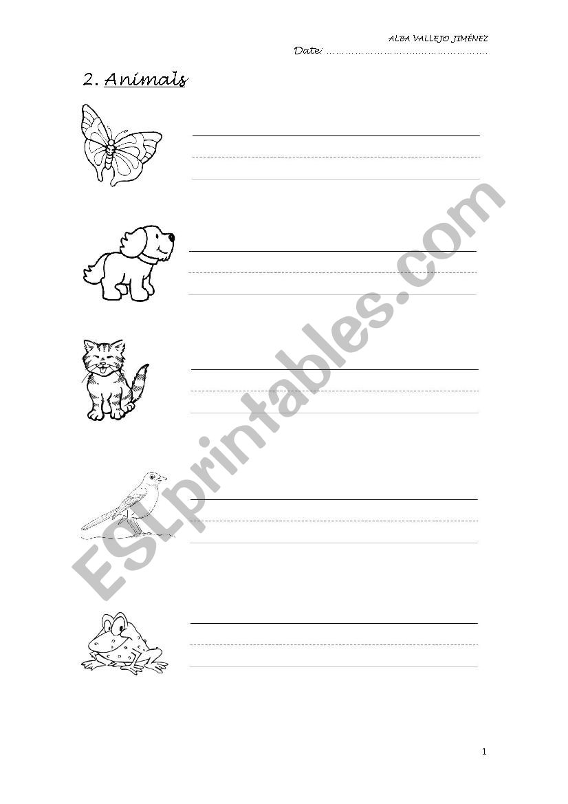 Animals worksheet