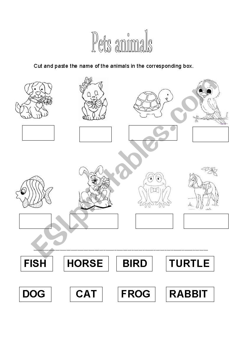 pets worksheet