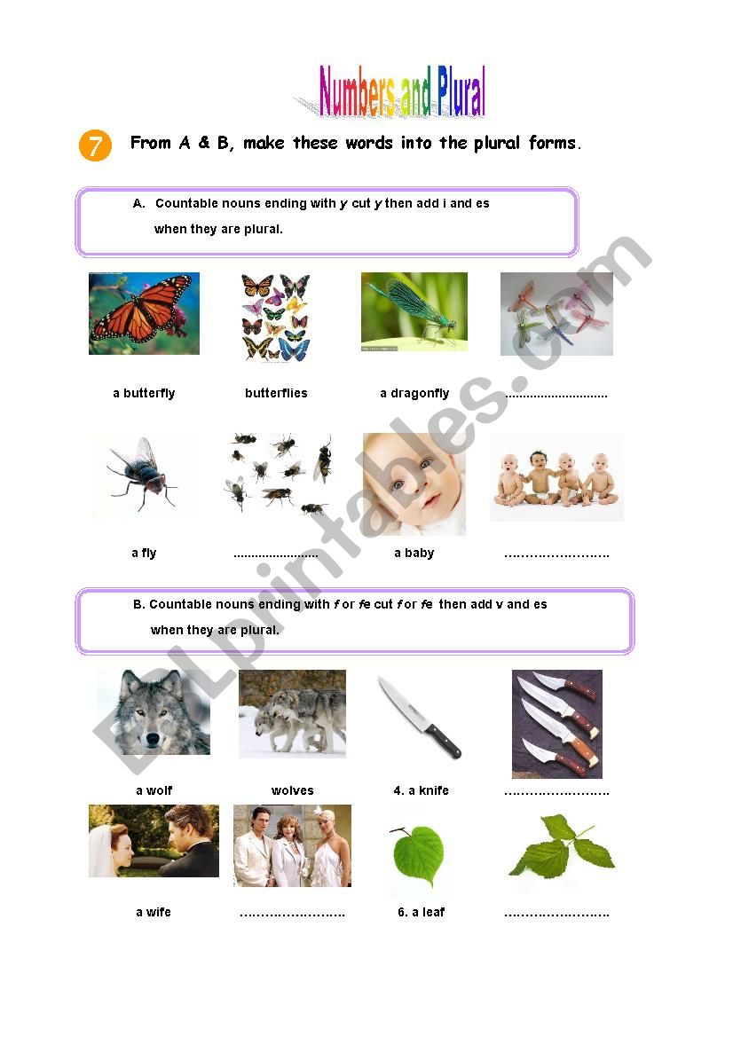 Write the plural. worksheet