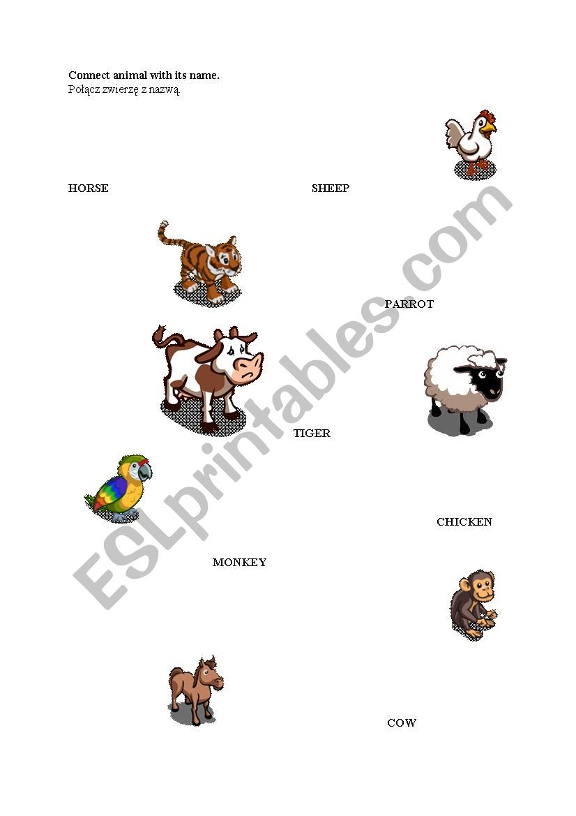 Animals worksheet