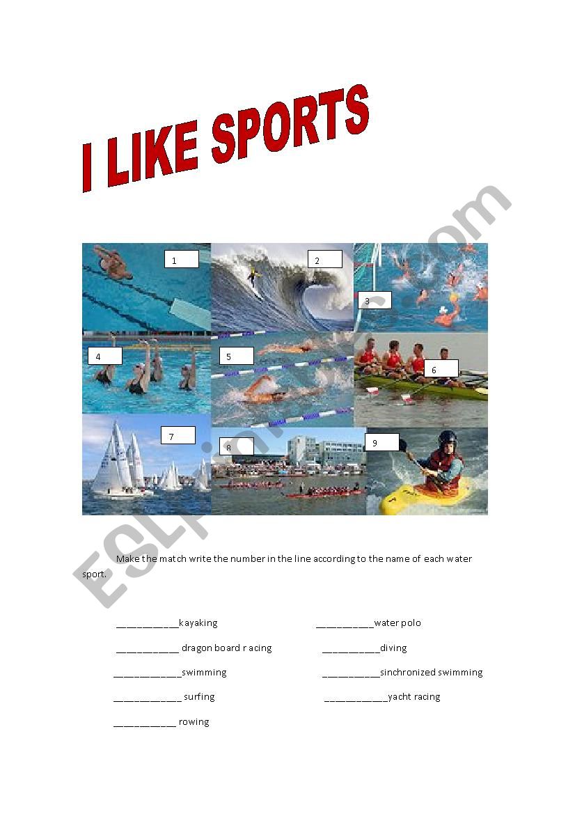 sports worksheet