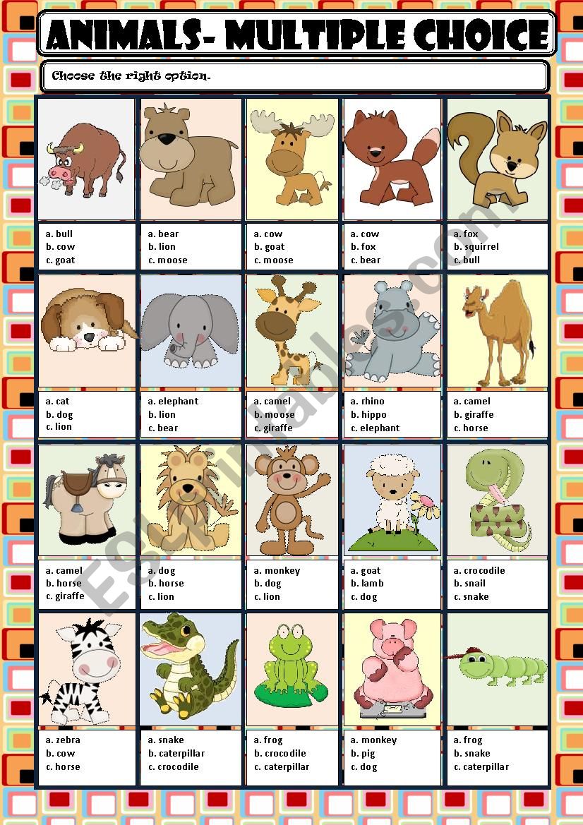 ANIMALS - MULTIPLE  CHOICE worksheet