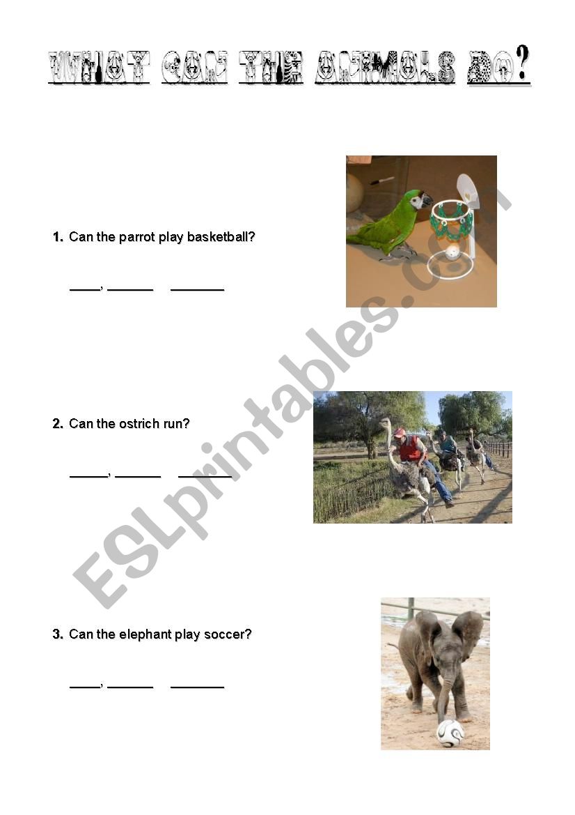 what can animals do? worksheet