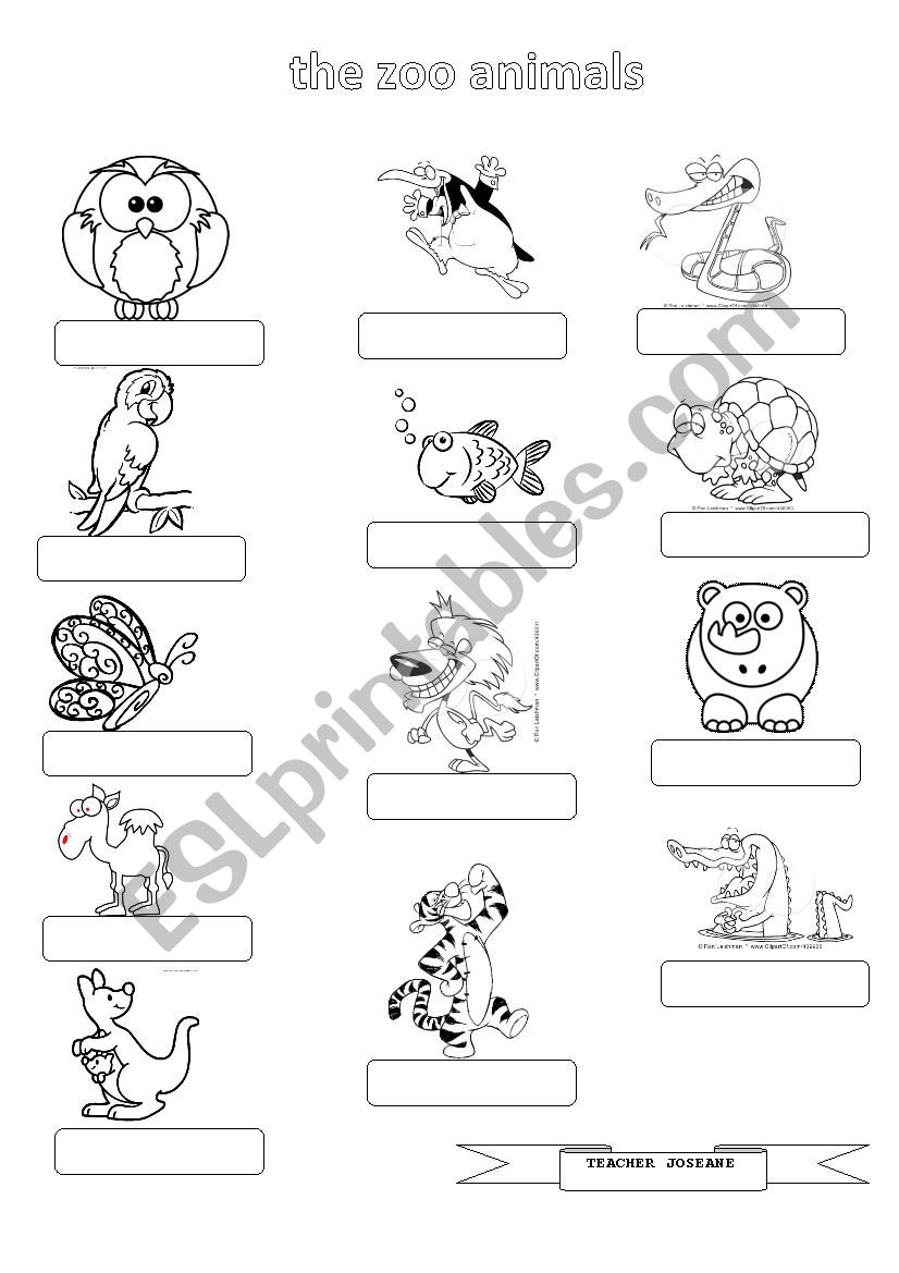 The zoo animals worksheet