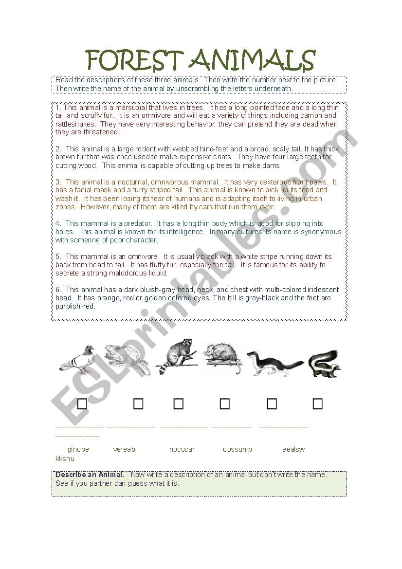 Forest Animals worksheet