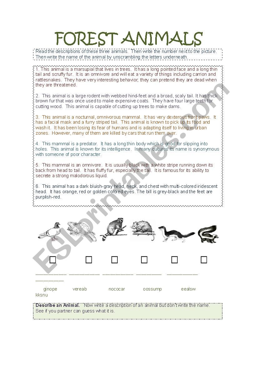 Forest Animals worksheet