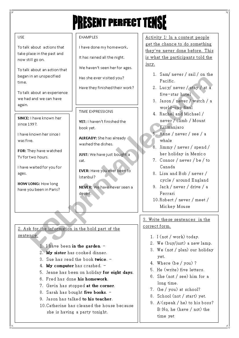 present perfect simple worksheet