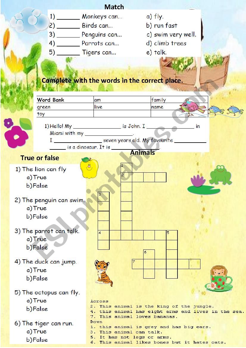 Animals and can worksheet