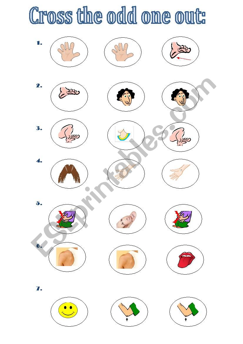 Body - odd one out worksheet