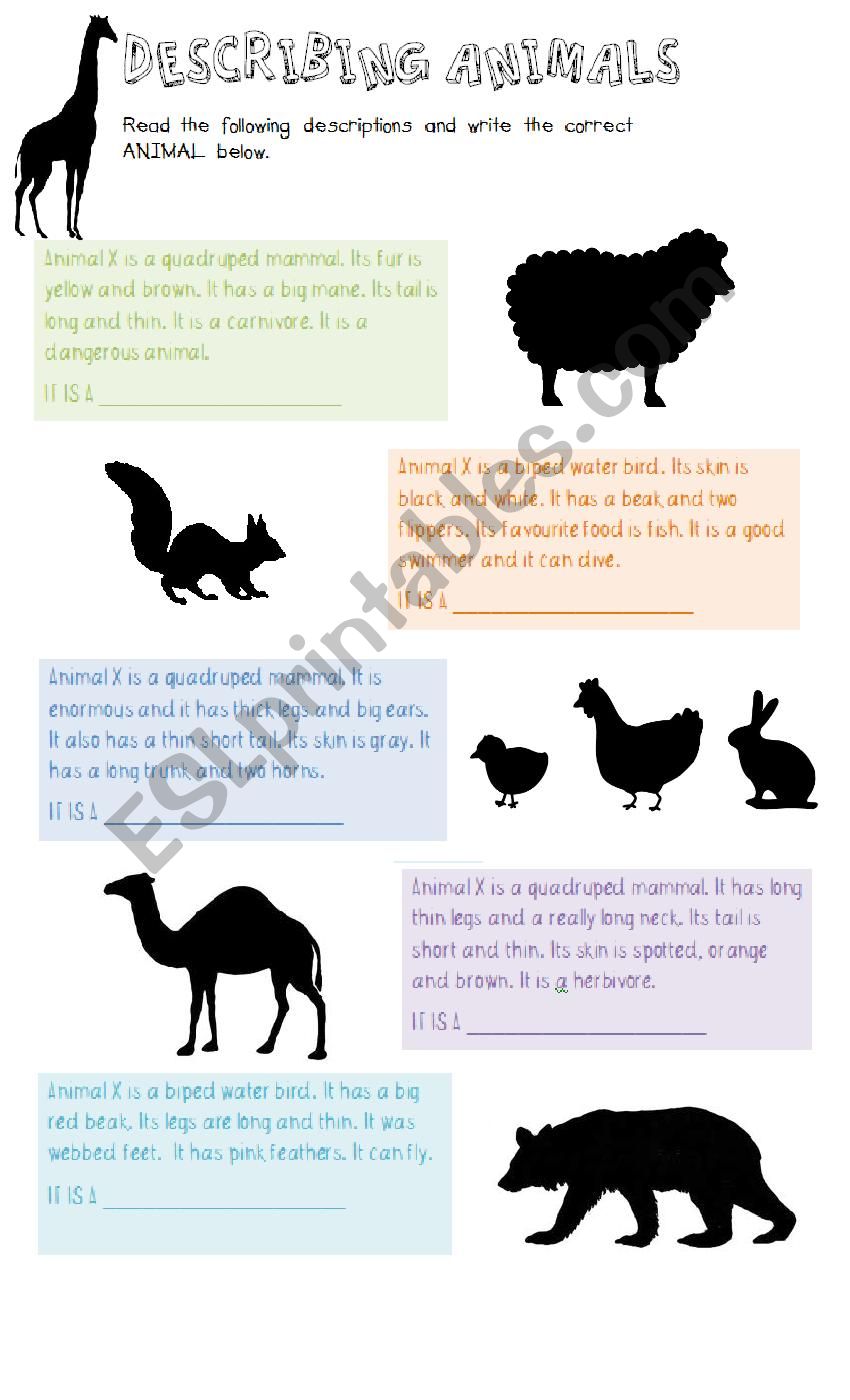 DESCRIBING ANIMALS - ESL worksheet by Laura0112