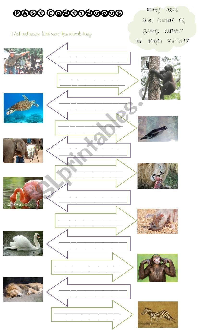 Past Continuous Animals worksheet