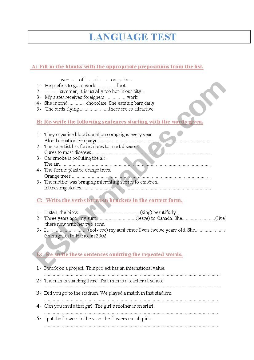 LANGUAGE TEST worksheet