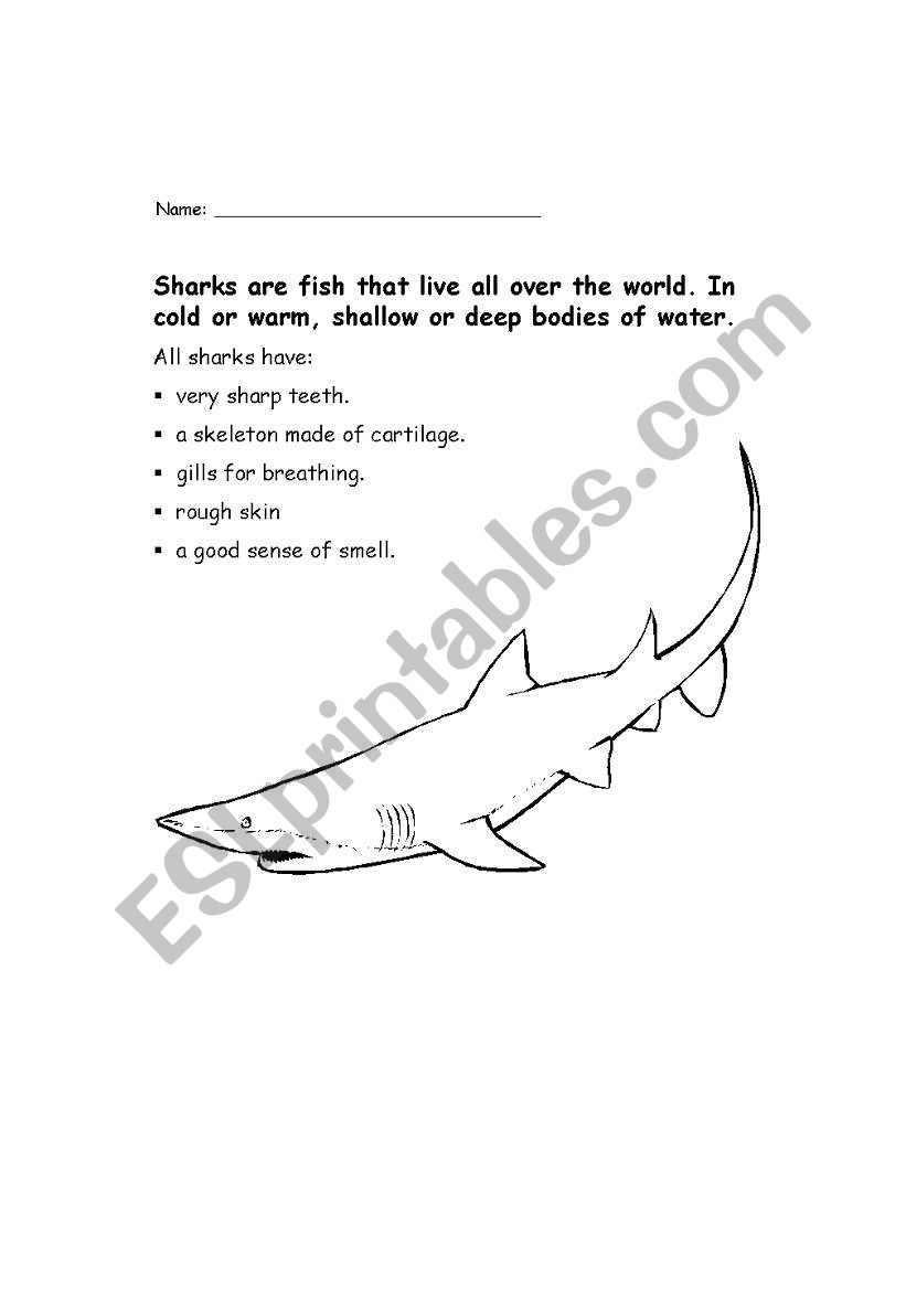 Sharks (activity booklet) worksheet