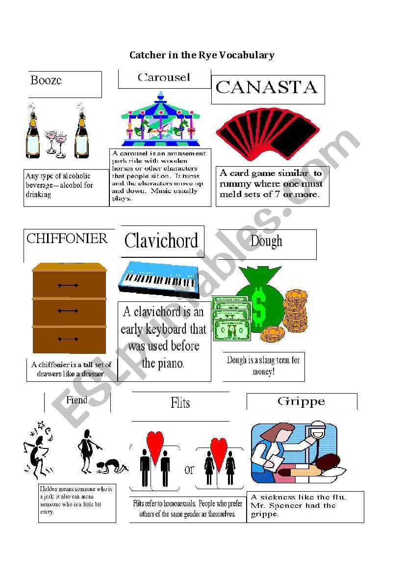 Catcher in the Rye Visual Vocabulary