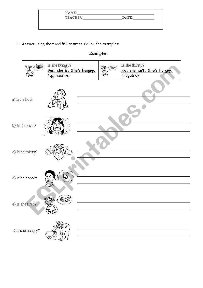 Yes and No questions  worksheet