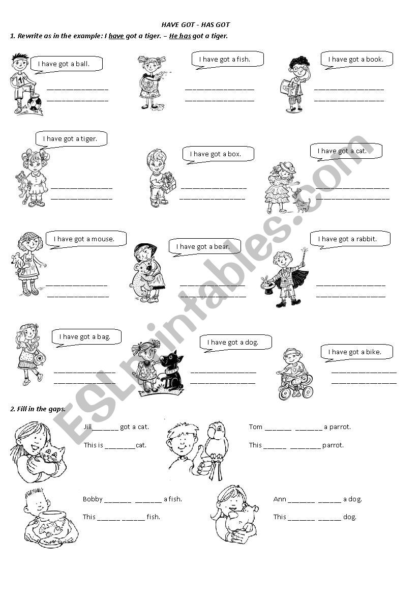 Have Got - Has Got worksheet