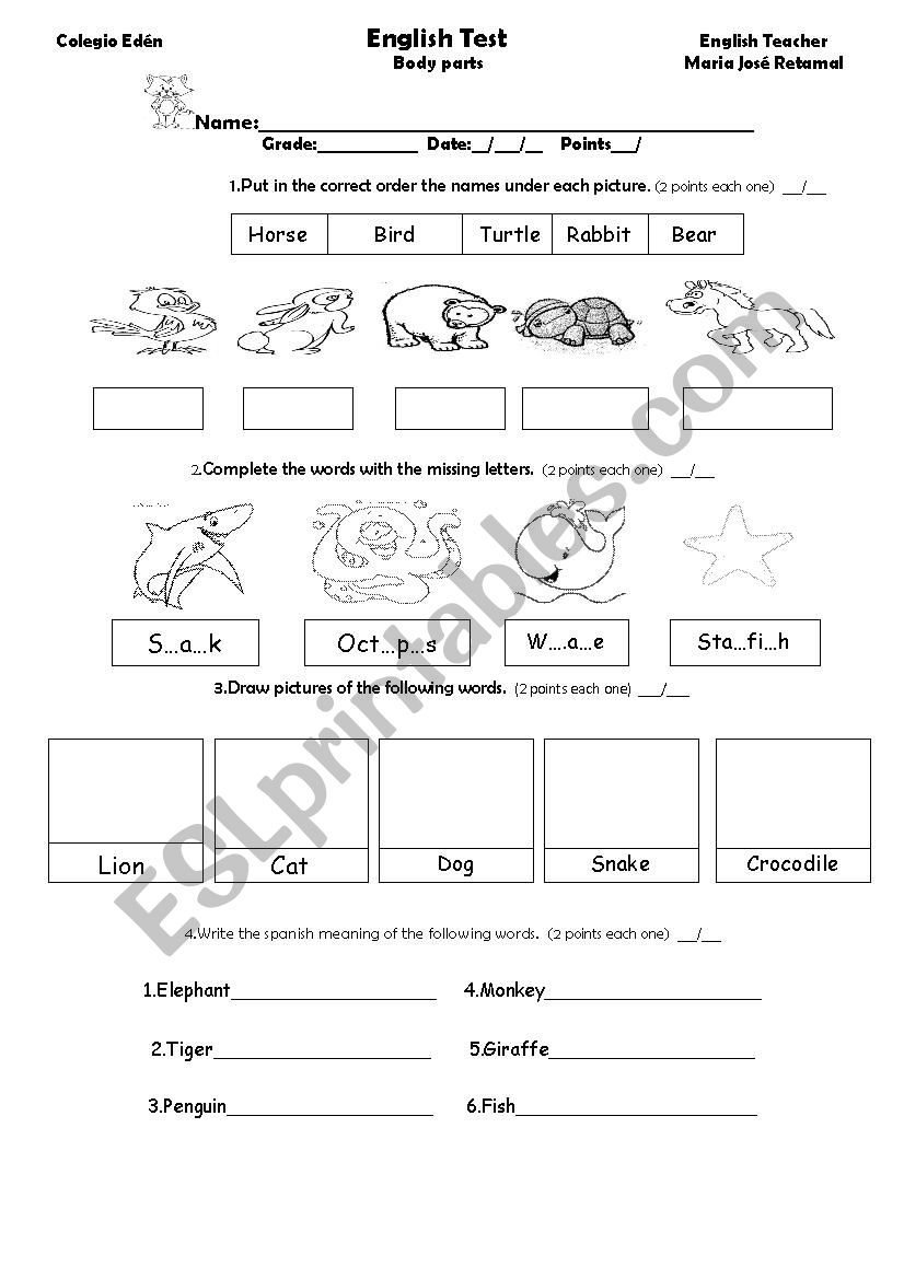 animal test worksheet