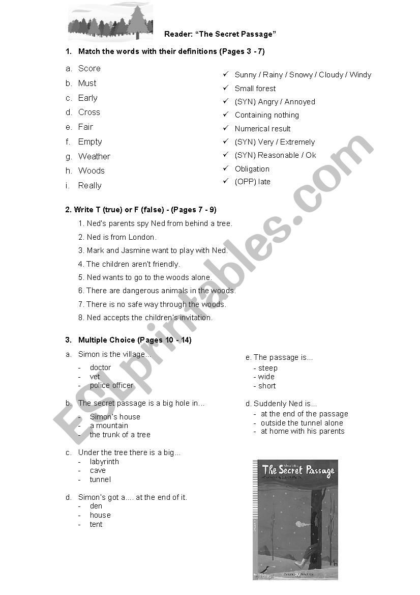 The secret passage reader hub esl worksheet by virnes