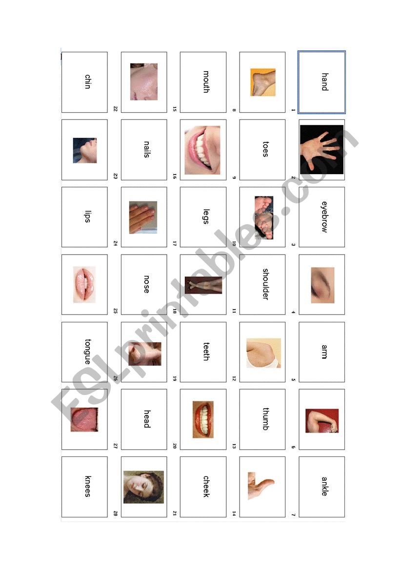 body parts memory game worksheet