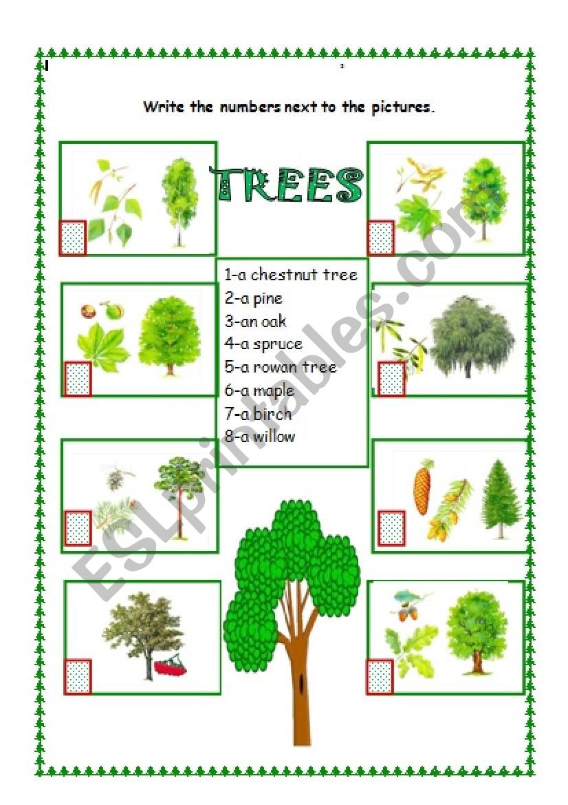 The Trees worksheet