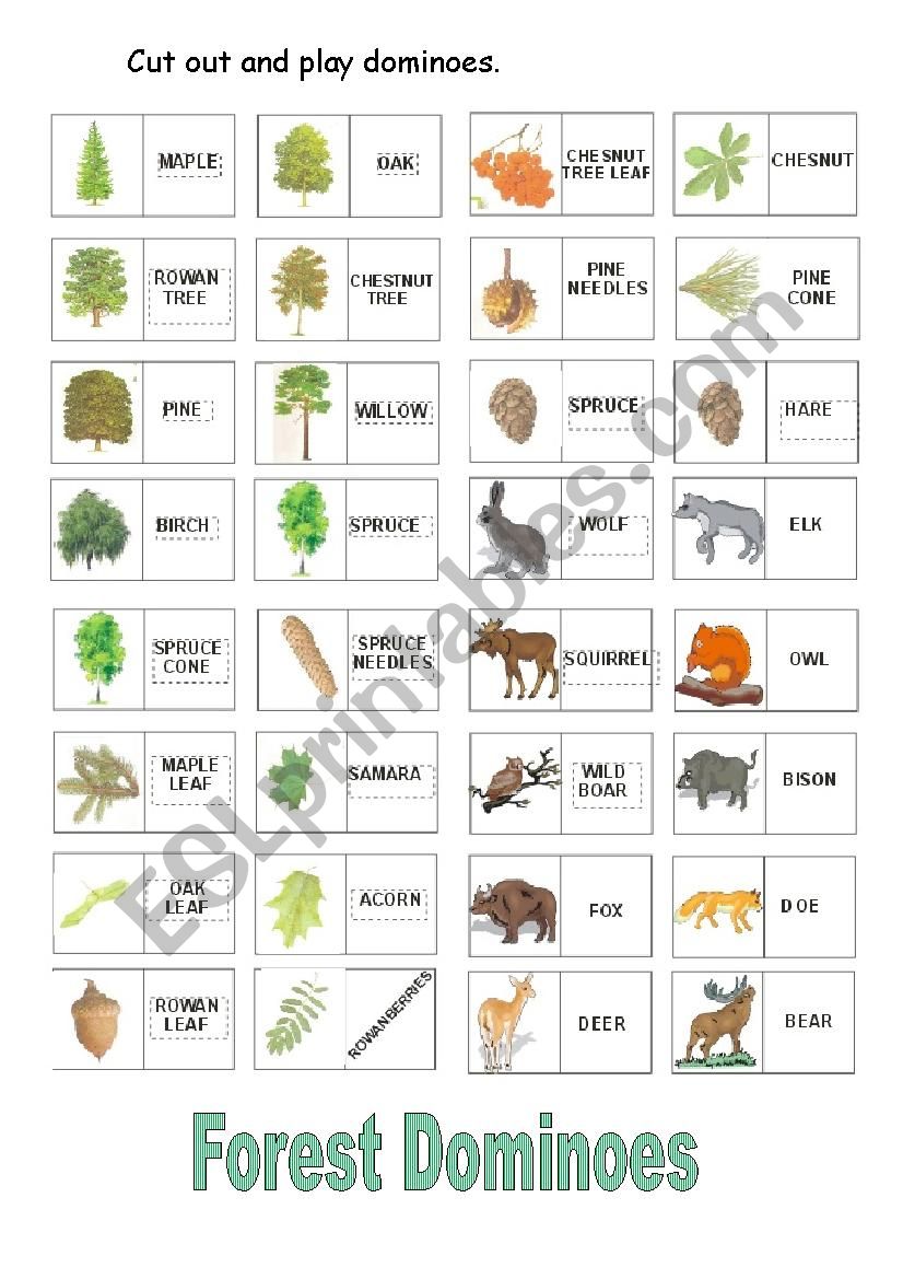 Forest Dominoes worksheet