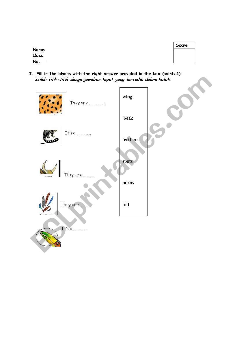 Parts of an Animal Body (2 pages)