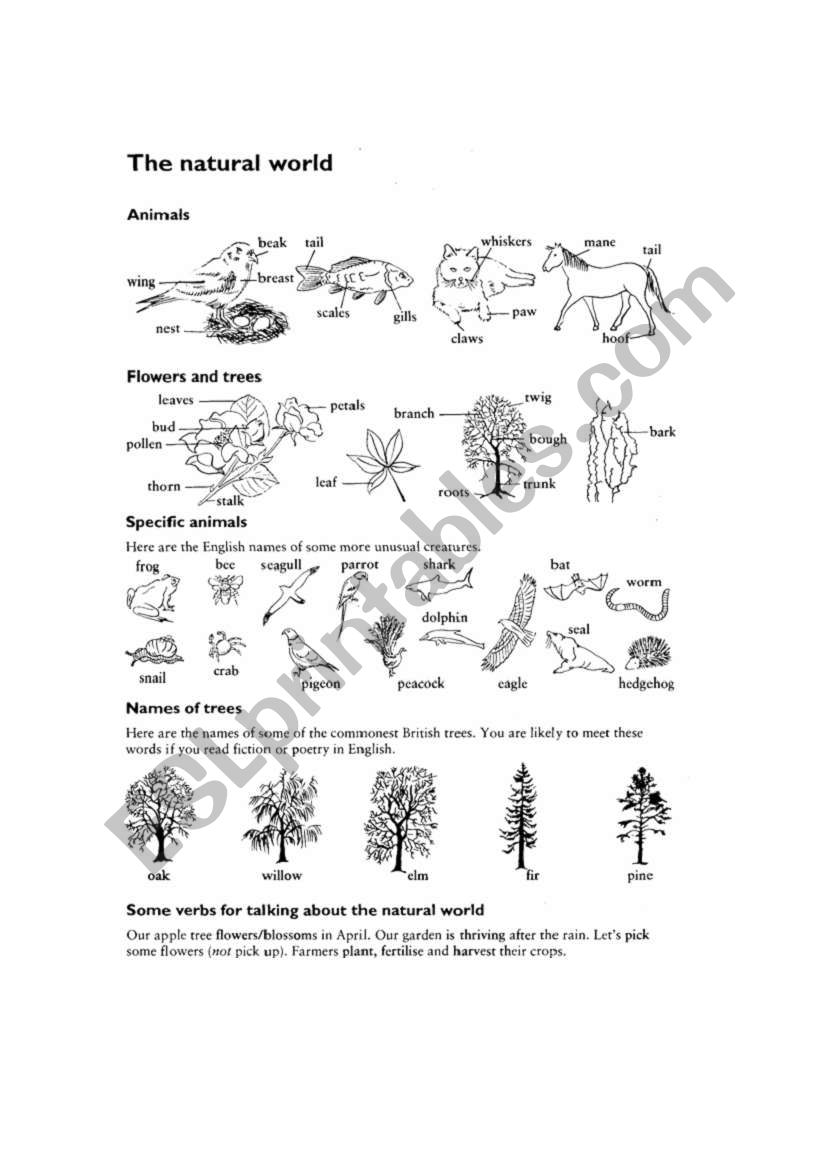 The Natural World worksheet