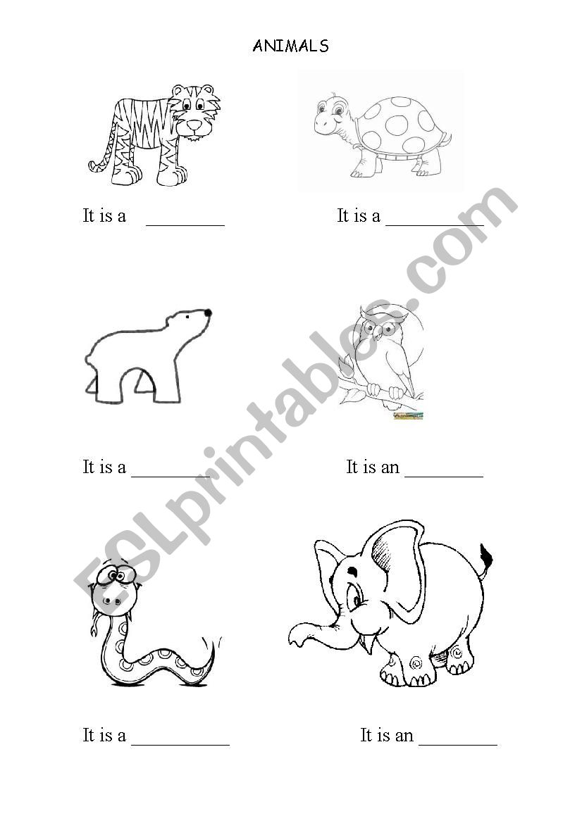 Animals worksheet