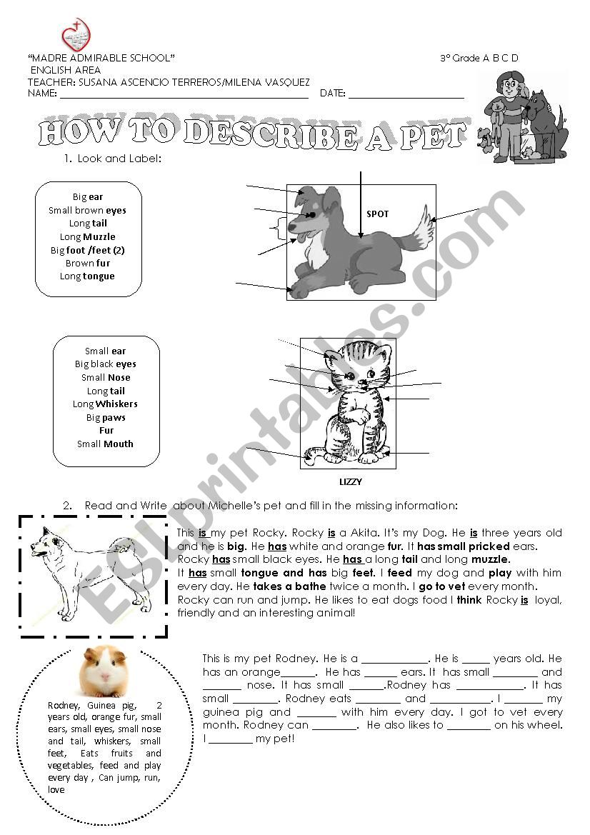 How to describe a pet worksheet