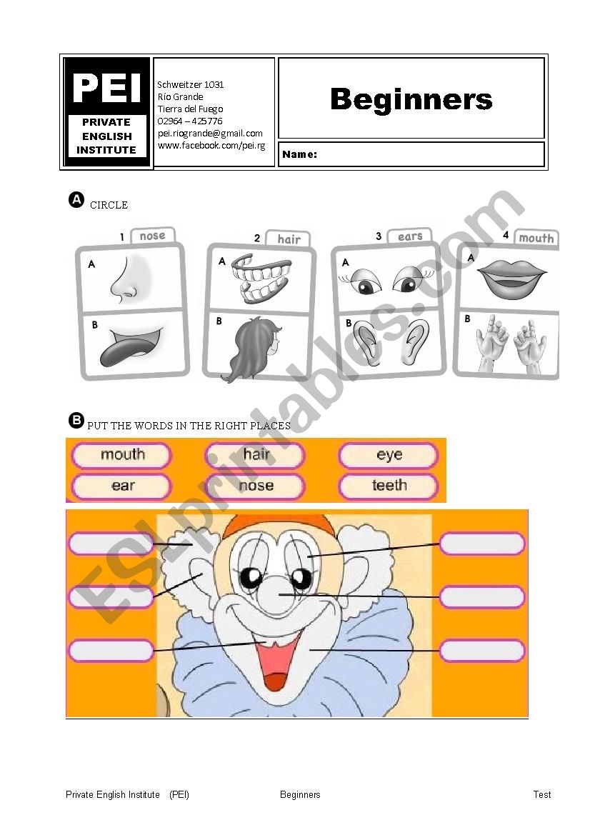 Exam about part of the body worksheet