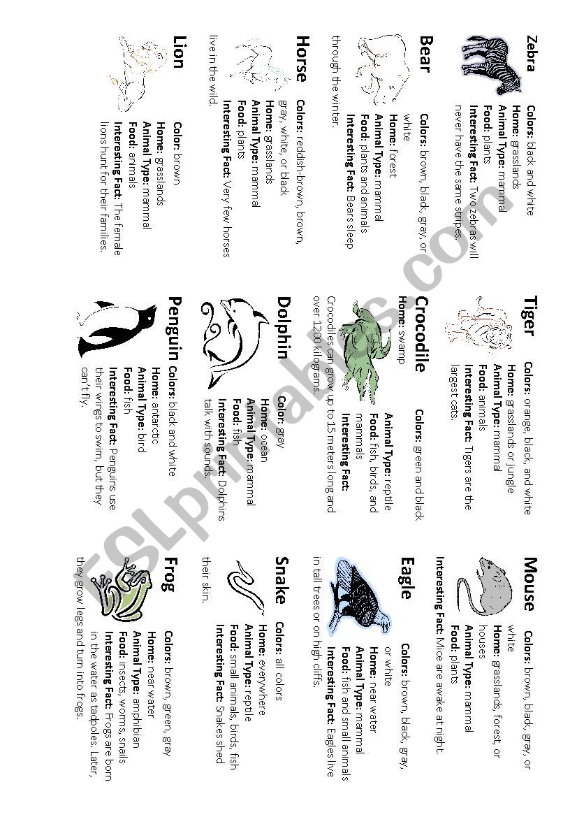 Animal Fact Sheet worksheet